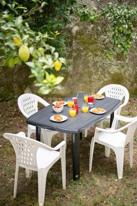 La - Centre - Jardin - Parking Privee - Climatisation *