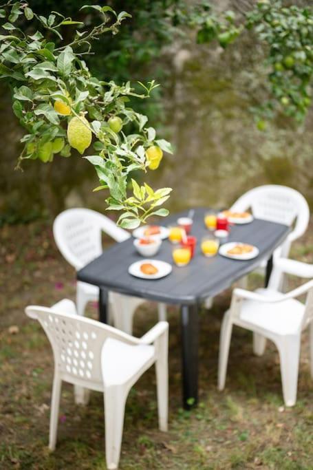 La - Centre - Jardin - Parking Privee - Climatisation Appartement Menton