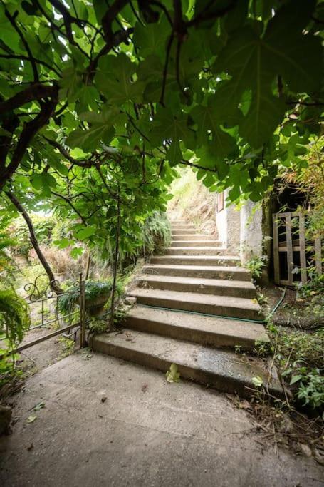 Appartement La - Centre - Jardin - Parking Privee - Climatisation *
